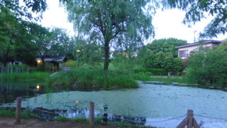 丸池公園１
